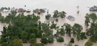 Psychological Counseling